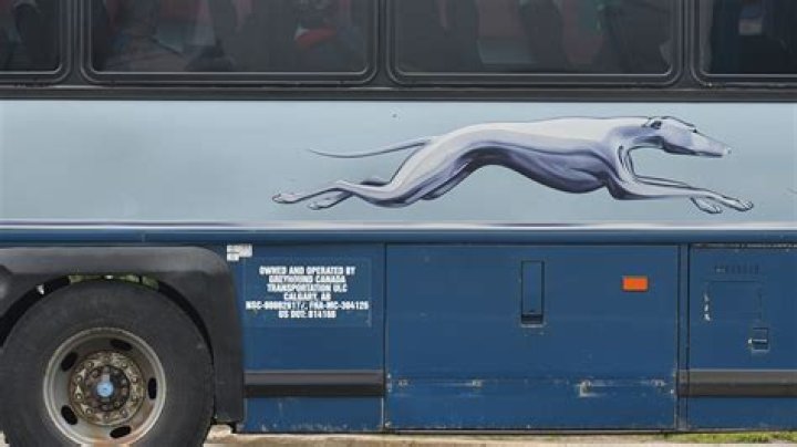 
Who Is Asaahdi Elijah Coleman? Greyhound Bus Shooting Update, Was He Arrested? 